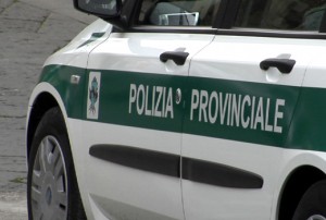 polizia provinciale